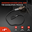 APOS0541 Downstream O2 Oxygen Sensor