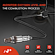 APOS0545 Downstream O2 Oxygen Sensor