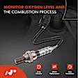 APOS0559 Downstream O2 Oxygen Sensor