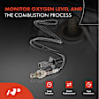 APOS055 Downstream O2 Oxygen Sensor