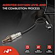 APOS0565 Downstream O2 Oxygen Sensor