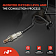 APOS0566 O2 Oxygen Sensor