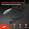 APOS0573 Downstream O2 Oxygen Sensor