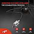 APOS0576 Downstream O2 Oxygen Sensor