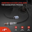 APOS0588 Downstream O2 Oxygen Sensor