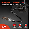 APOS0589 Downstream O2 Oxygen Sensor