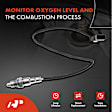 APOS0590 Downstream O2 Oxygen Sensor
