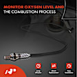 APOS0591 Upstream Downstream O2 Oxygen Sensor
