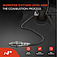 APOS0598 Downstream O2 Oxygen Sensor
