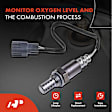 APOS0600 Downstream O2 Oxygen Sensor