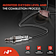 APOS0601 Downstream O2 Oxygen Sensor