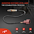 APOS0605 Upstream O2 Oxygen Sensor