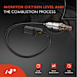 APOS0607 Upstream O2 Oxygen Sensor