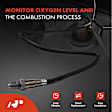 APOS0608 Upstream O2 Oxygen Sensor