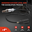 APOS0612 Upstream O2 Oxygen Sensor