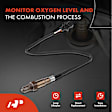APOS0613 Upstream O2 Oxygen Sensor