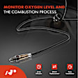 APOS0614 Upstream O2 Oxygen Sensor