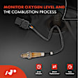APOS0615 Upstream O2 Oxygen Sensor