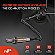 APOS0616 Upstream O2 Oxygen Sensor