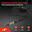 APOS0621 Upstream O2 Oxygen Sensor