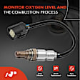 APOS0625 Upstream O2 Oxygen Sensor