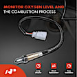 APOS0631 Upstream O2 Oxygen Sensor