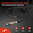 APOS0632 Upstream O2 Oxygen Sensor