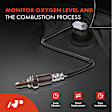APOS0635 Upstream O2 Oxygen Sensor