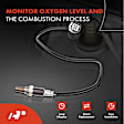APOS0637 Upstream O2 Oxygen Sensor