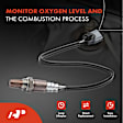 APOS0638 Upstream O2 Oxygen Sensor