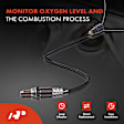 APOS0644 Upstream O2 Oxygen Sensor