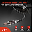 APOS0645 Upstream O2 Oxygen Sensor