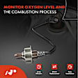 APOS0648 Upstream O2 Oxygen Sensor