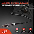 APOS0649 Upstream O2 Oxygen Sensor