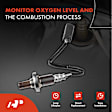 APOS0650 Upstream O2 Oxygen Sensor