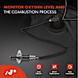 APOS0651 Upstream O2 Oxygen Sensor