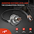 APOS0655 O2 Oxygen Sensor