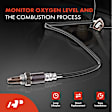 APOS0657 Upstream O2 Oxygen Sensor