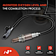 APOS0658 Upstream O2 Oxygen Sensor