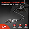 APOS0661 2x Upstream Left & Right O2 Oxygen Sensor