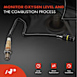 APOS0669 Downstream O2 Oxygen Sensor