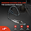 APOS0672 Upstream Downstream Center O2 Oxygen Sensor