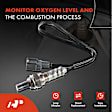 APOS0675 2x Upstream & Downstream O2 Oxygen Sensor