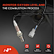 APOS0703 2x Upstream & Downstream O2 Oxygen Sensor