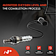 APOS0705 Upstream O2 Oxygen Sensor