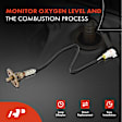 APOS0708 Upstream O2 Oxygen Sensor