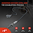 APOS0709 Downstream O2 Oxygen Sensor