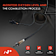 APOS0720 Upstream O2 Oxygen Sensor