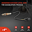 APOS0724 Upstream O2 Oxygen Sensor