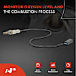 APOS0725 Upstream O2 Oxygen Sensor